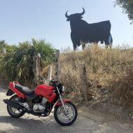 Parpa roja
